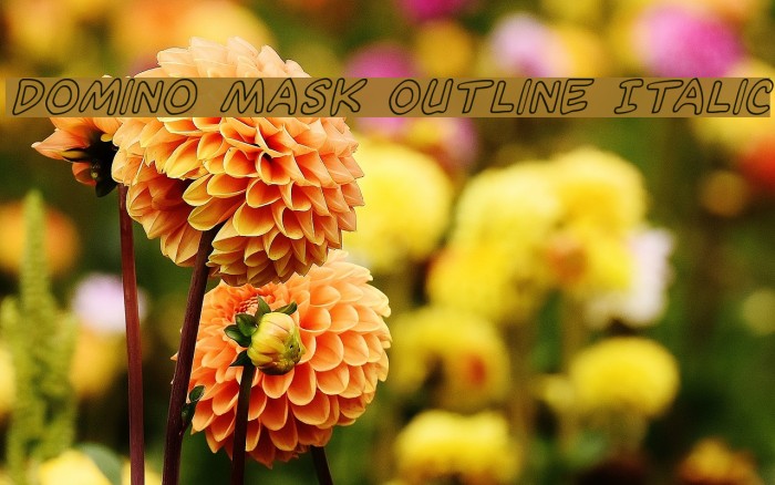 Domino Mask Outline Italic Font examples