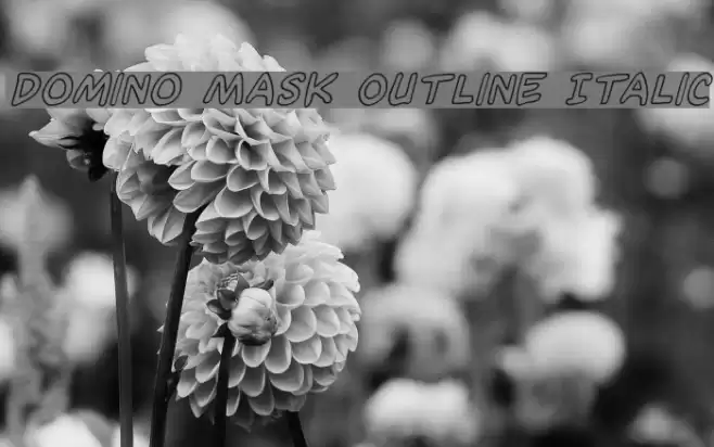Domino Mask Outline Italic フォント examples