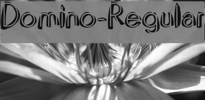 Domino-Regular Font examples