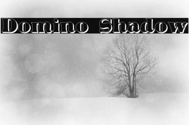 Domino Shadow Example 3