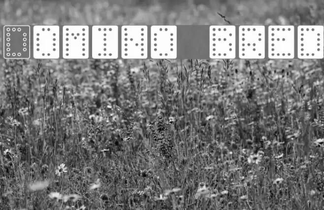 Domino bred Font examples