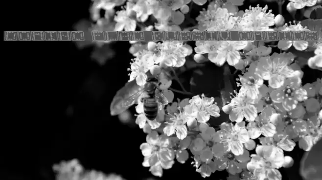 Domino flad kursiv omrids Font examples