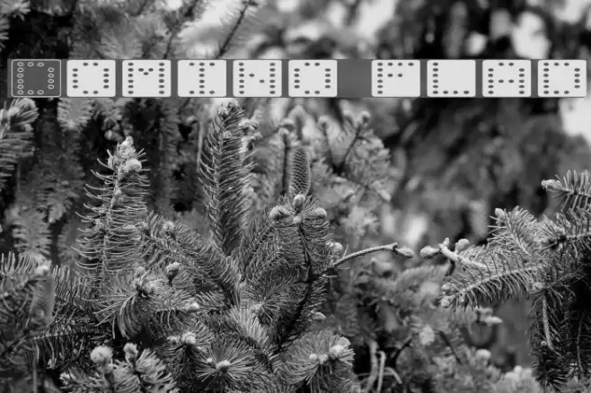 Domino flad Font examples