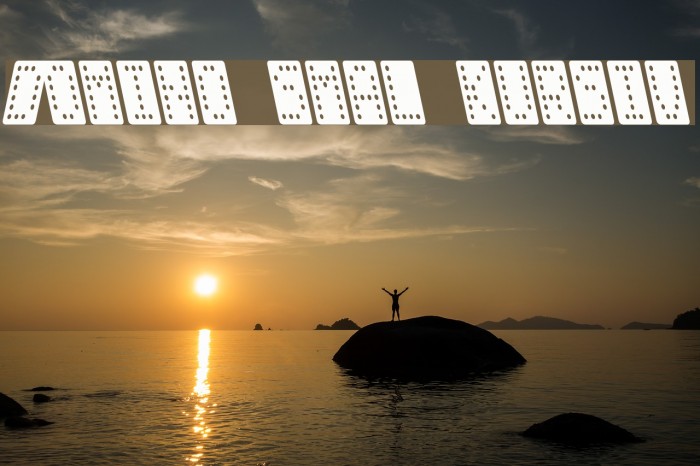 Domino smal kursiv Font examples