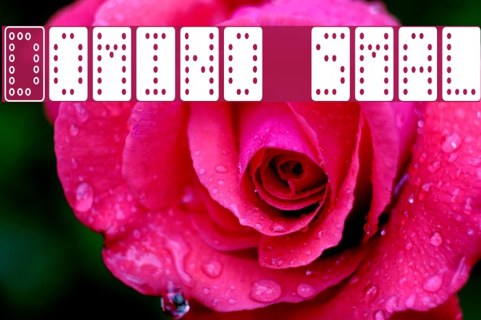 Domino smal Font examples