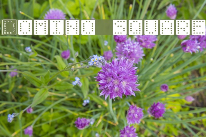 Domino square Font examples