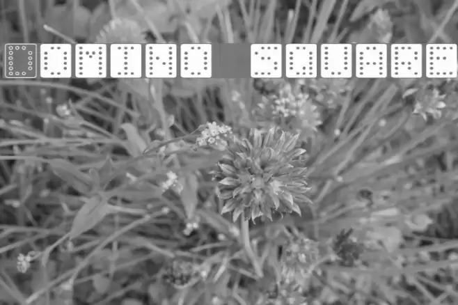 Domino square フォント examples