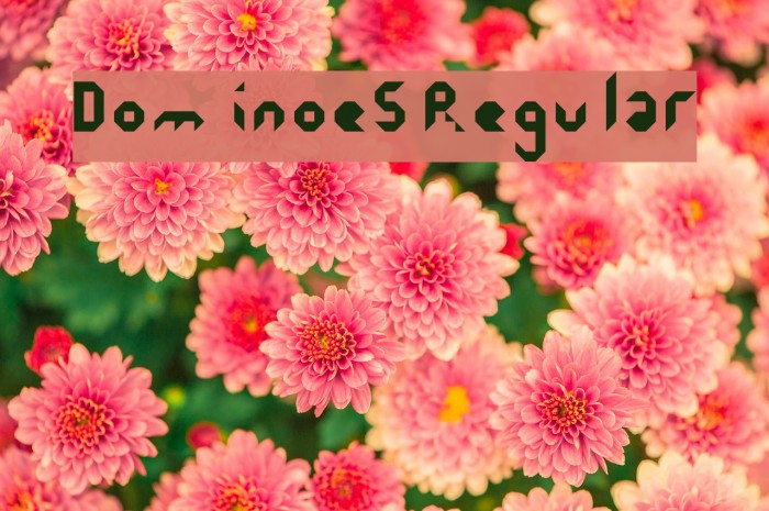 Dominoes Regular Example 3