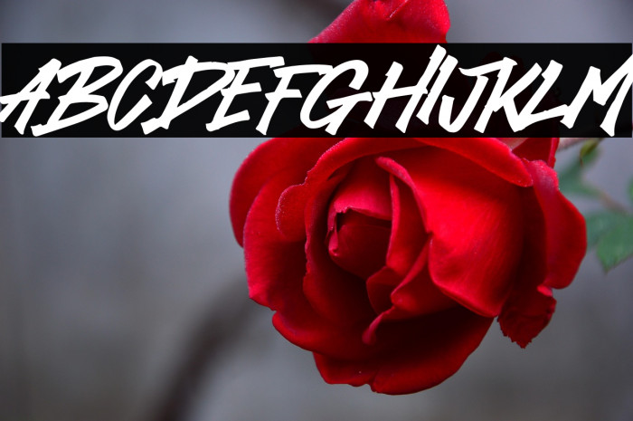 Dominos Blast Example 1