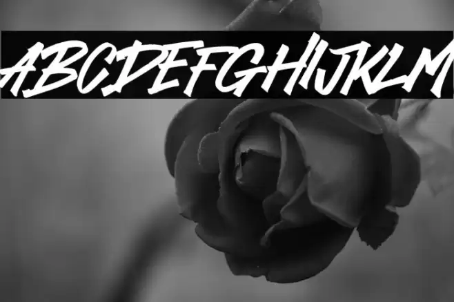 Dominos Blast Caratteri examples