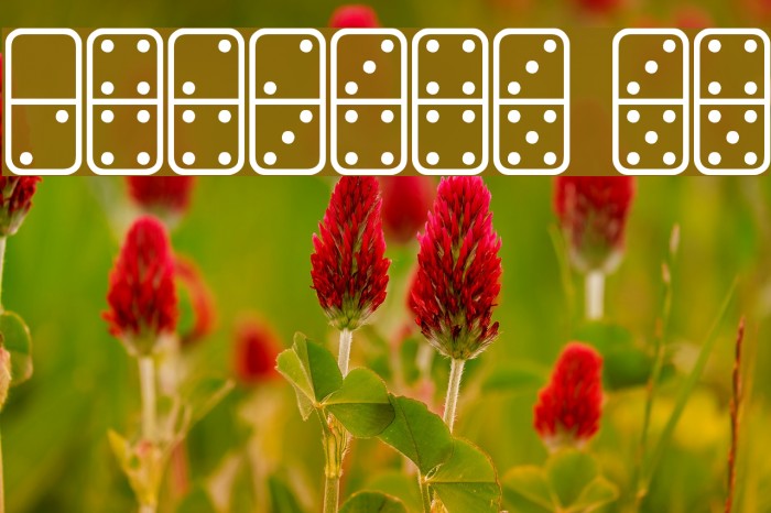 Dominos St Font examples