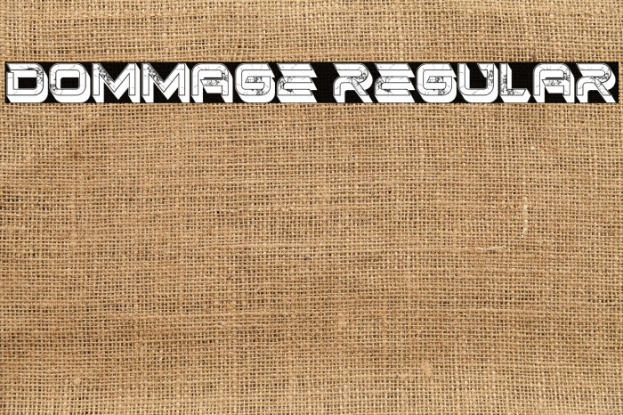 Dommage Regular Example 1