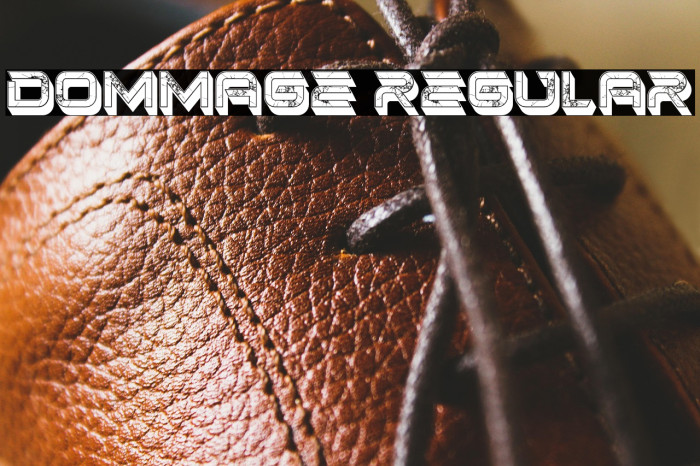 Dommage Regular Example 2