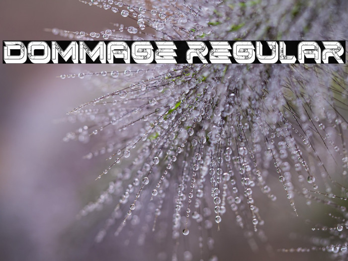 Dommage Regular Example 3