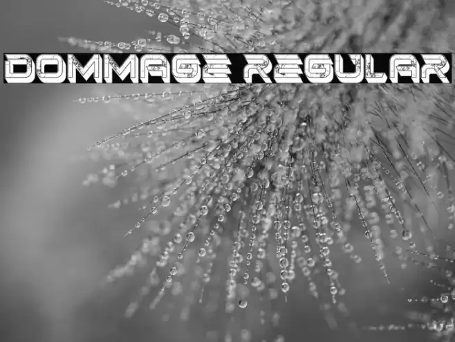 Dommage Regular Font examples