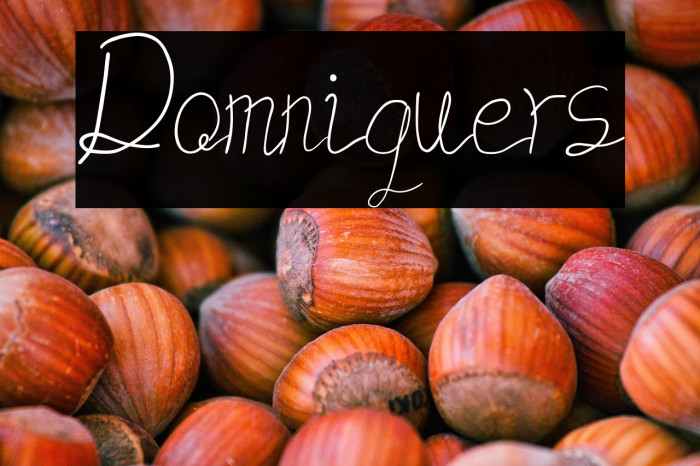 Domniquers Example 1