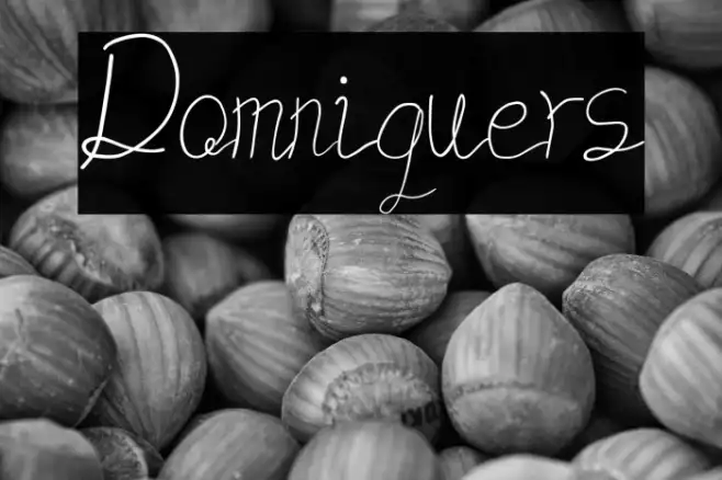 Domniquers Example 1