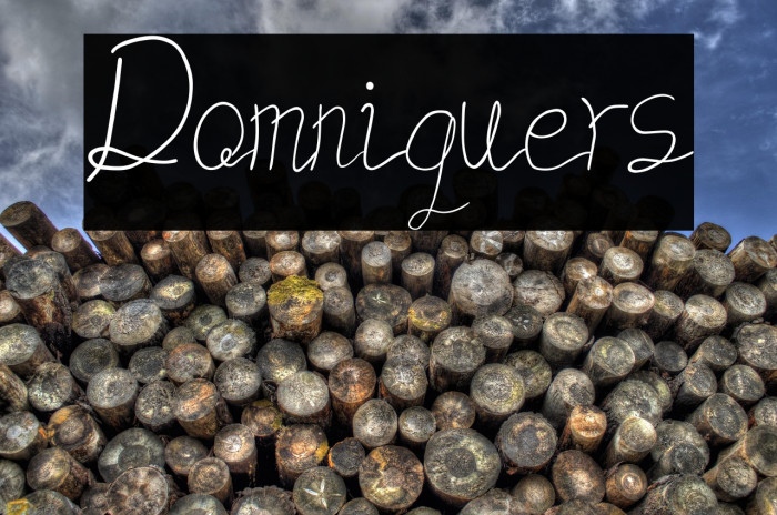 Domniquers Example 3