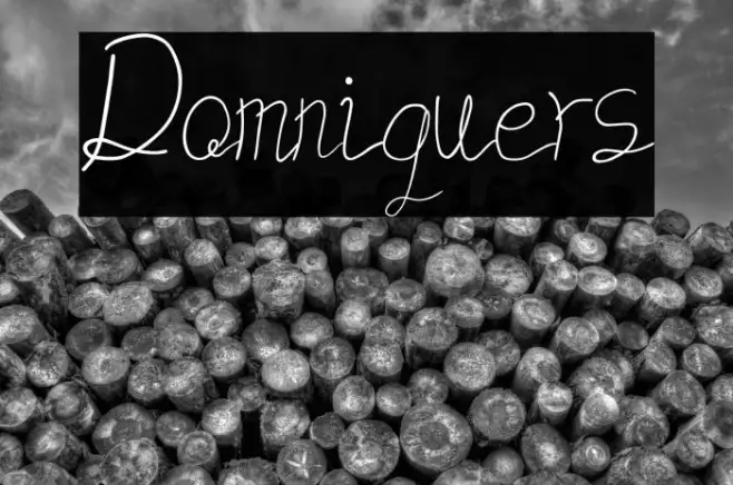Domniquers Example 3