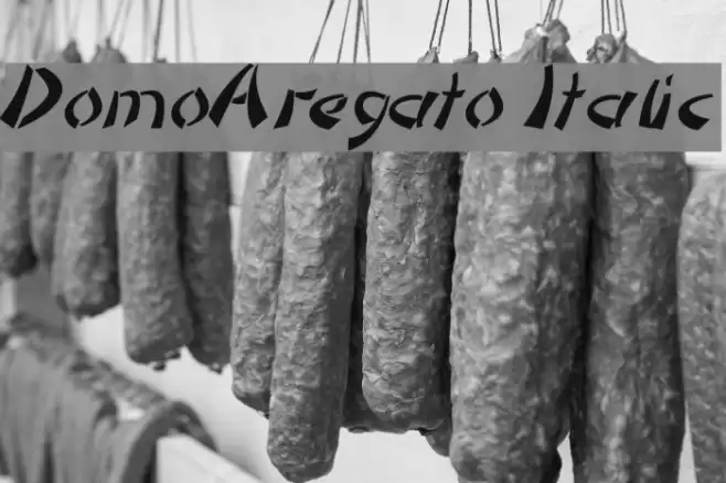 DomoAregato Italic Font examples