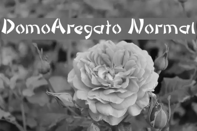 DomoAregato Normal Example 1