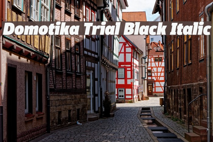 Domotika Trial Black Italic Font examples