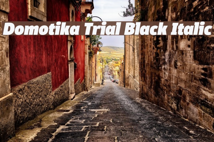 Domotika Trial Black Italic Font examples