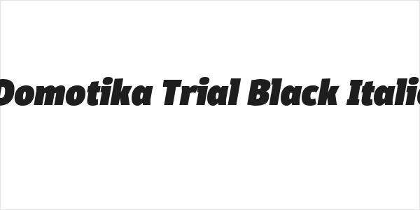 Domotika Trial Black Italic Logo