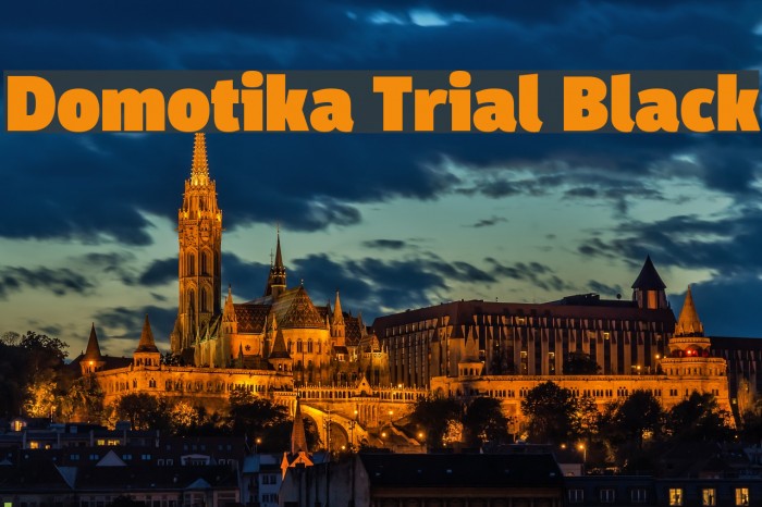 Domotika Trial Black Example 1