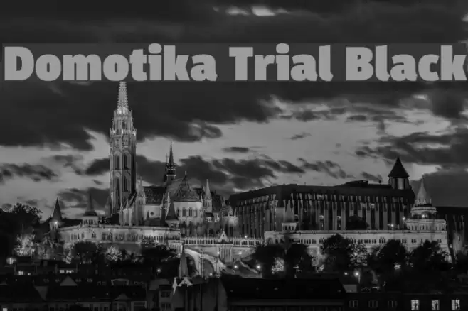 Domotika Trial Black Font examples