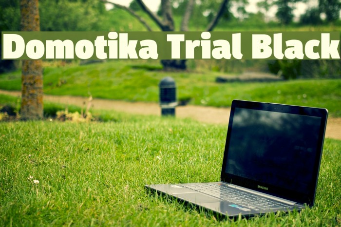 Domotika Trial Black Example 2