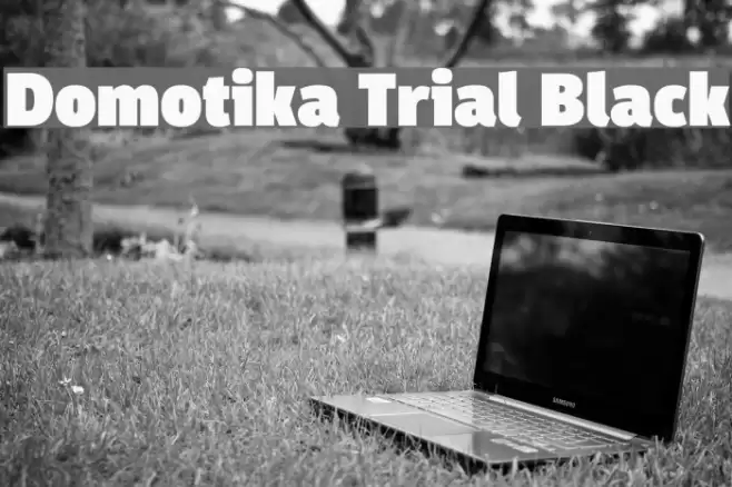 Domotika Trial Black Font examples