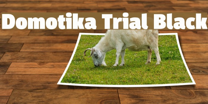 Domotika Trial Black Example 3