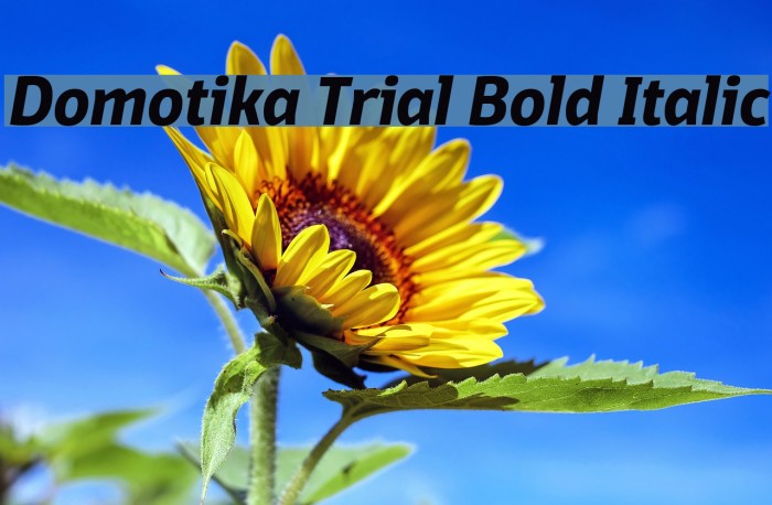 Domotika Trial Bold Italic Font examples