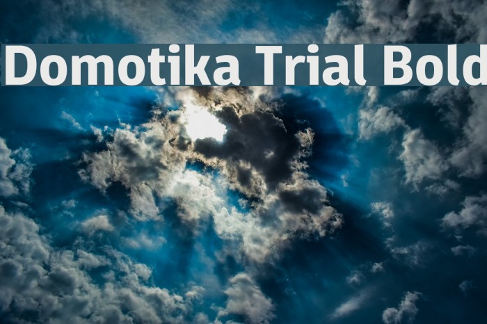 Domotika Trial Bold Example 1
