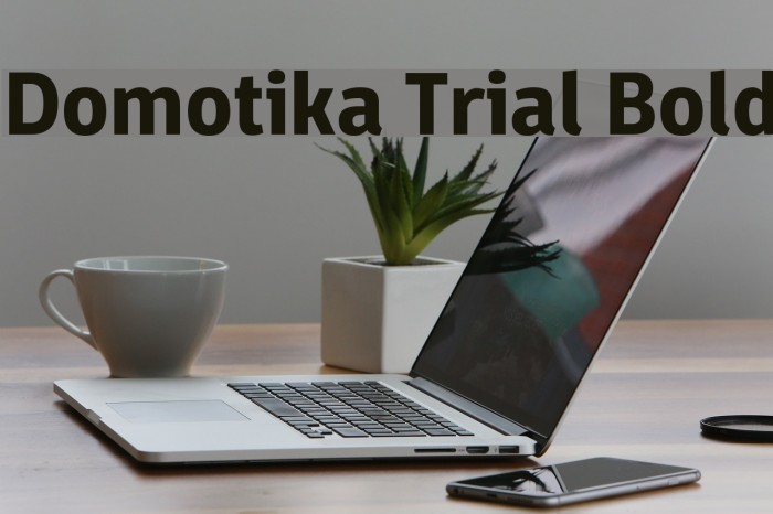 Domotika Trial Bold Example 2