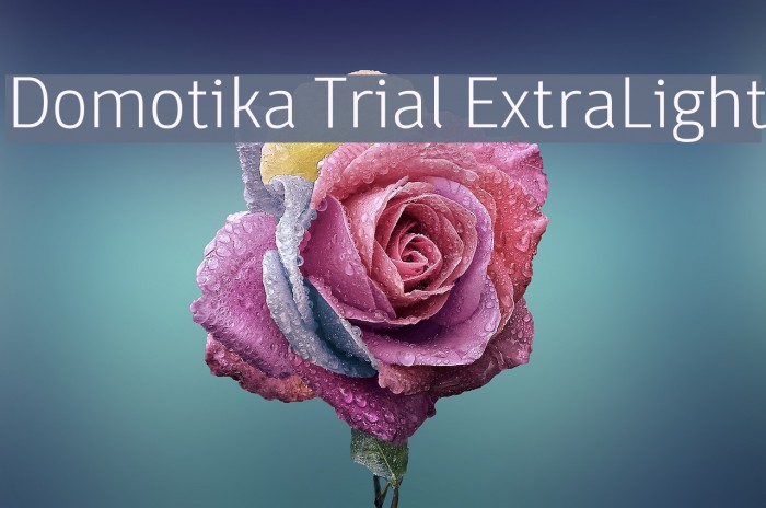 Domotika Trial ExtraLight Font examples