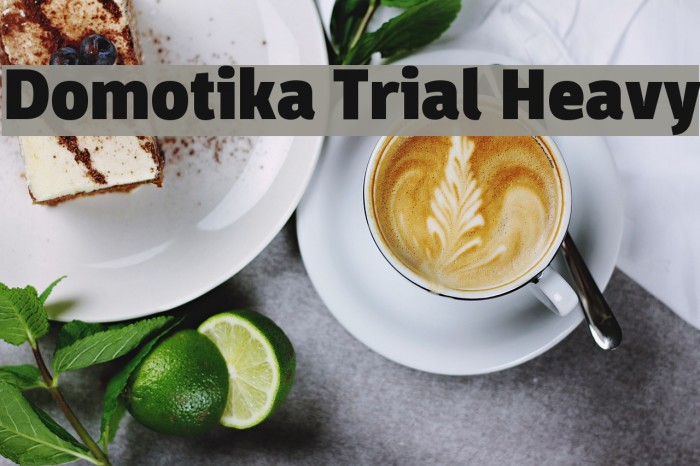 Domotika Trial Heavy Font examples
