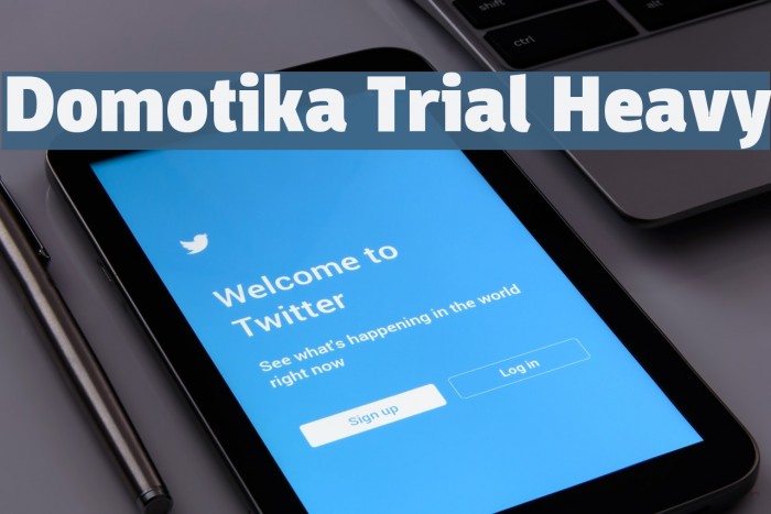 Domotika Trial Heavy Font examples