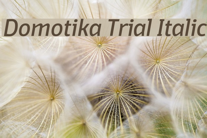 Domotika Trial Italic Font examples