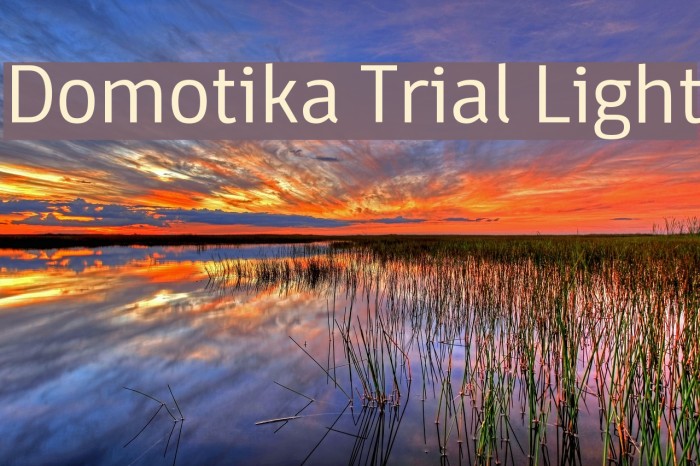 Domotika Trial Light Font examples