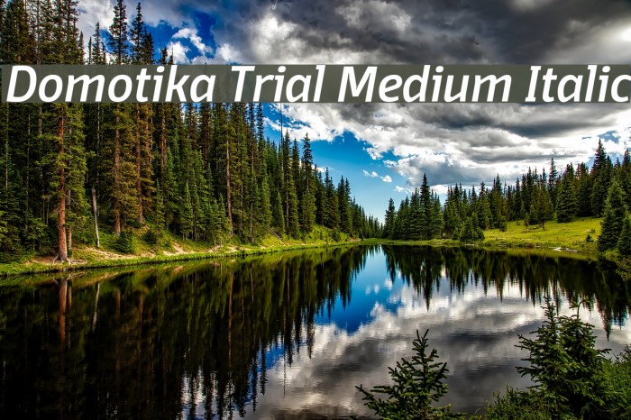 Domotika Trial Medium Italic Font examples