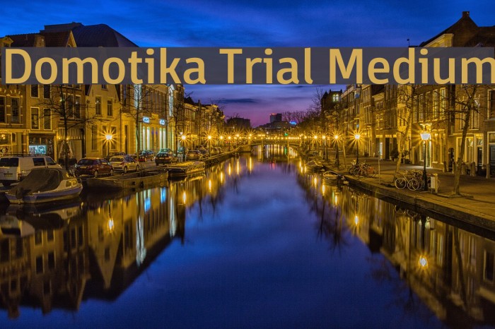 Domotika Trial Medium Example 1