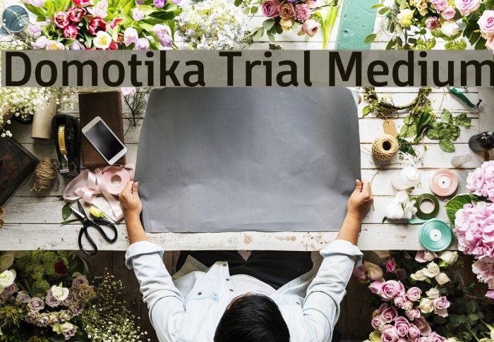 Domotika Trial Medium Example 2