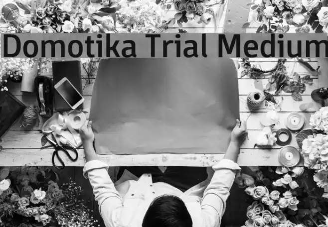 Domotika Trial Medium Font examples