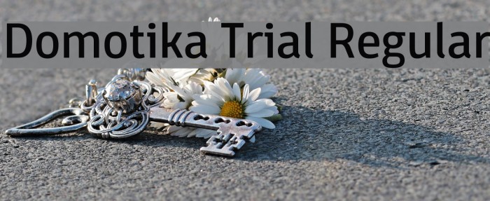 Domotika Trial Regular Font examples