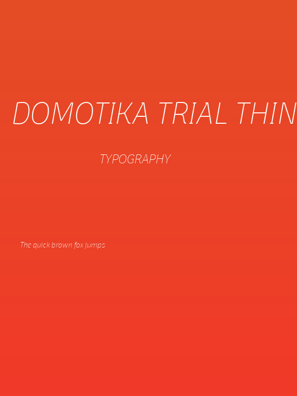 Domotika Trial Thin Italic Poster