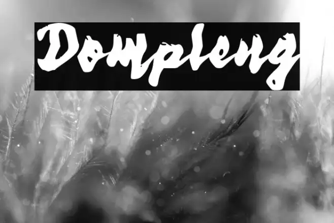 Dompleng Example 1