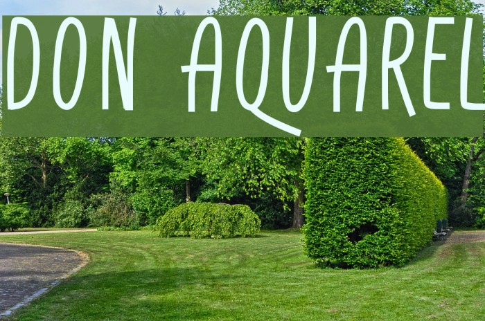 Don Aquarel Font examples