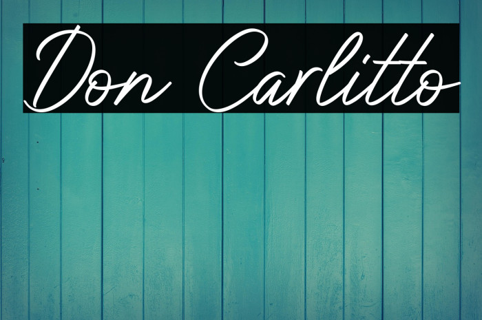 Don Carlitto Example 1